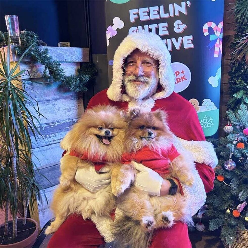 Santa with two dogs sitting on his knee