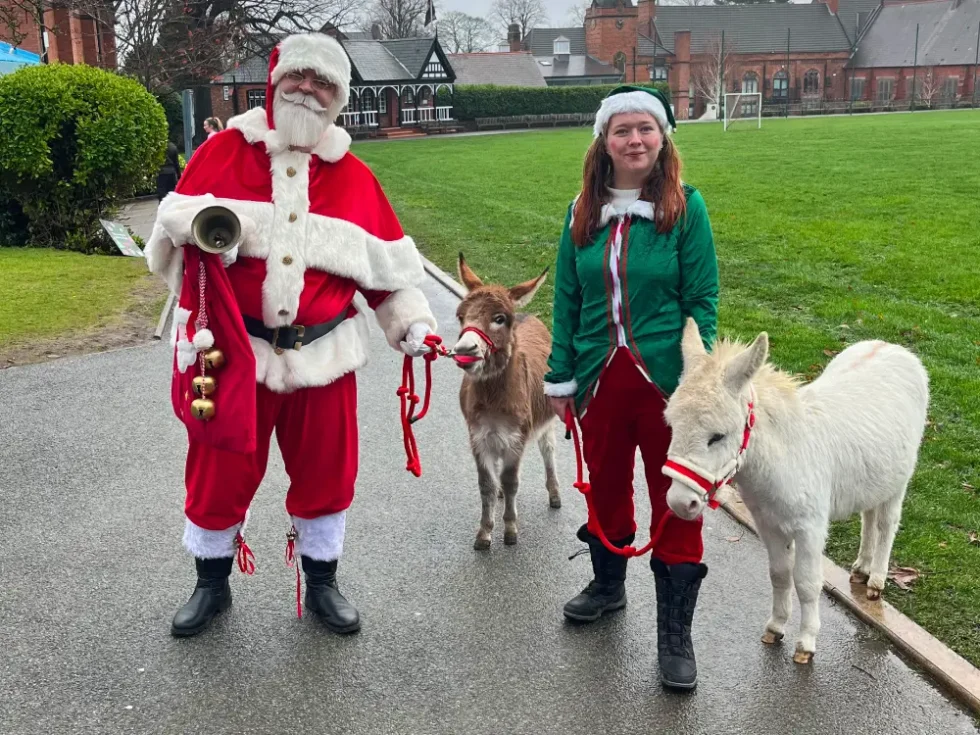 Santa and Elf with donkeys